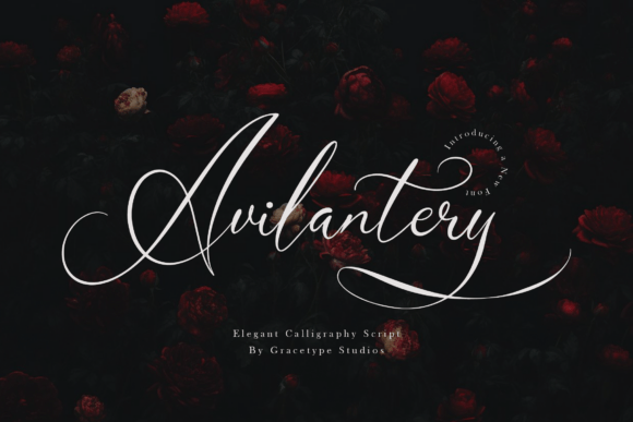 Avilantery: The Elegant Calligraphy Script for Romance