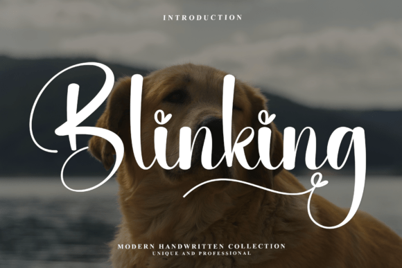 Blinking: The Creative Script Font for Boutique Branding