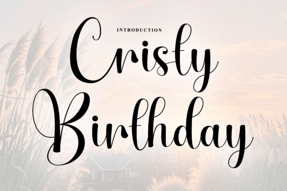 Cristy Birthday: The Artisan Script for Modern Branding
